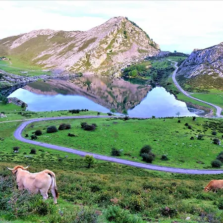 Aernus Marina - Piscina, Parking Y Terraza 利亚内斯